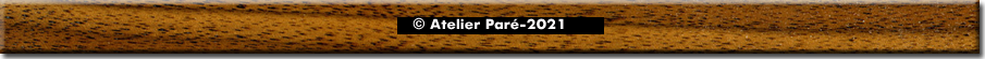 Footer